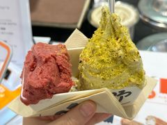 -野人先生现做冰淇淋(西安赛格店)