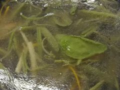 -协和菜馆(凤凰街店)