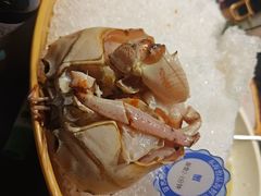 -东海怡品海鲜豆捞(星街坊店)