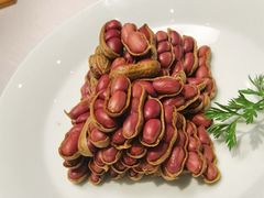 -鸭匠食府·挂炉烤鸭·新京菜(阜成路店)
