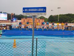 -上海玛雅海滩水公园