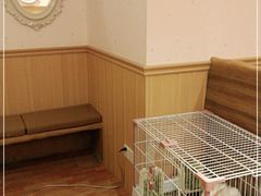 -猫猫幼稚园·撸猫·桌游·电玩
