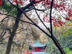 -岳麓山风景名胜区