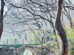 -句容茅山景区