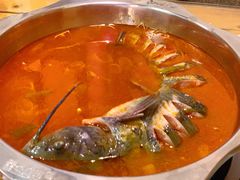 乌江鱼-芦苇荡·酸汤鱼(回龙观店)