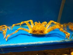 -綱元·海鲜豆捞(明州里店)