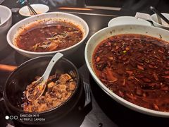 -陈麻婆豆腐总店