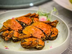 -新光酒家·河豚·海鲜·蟹料理(浦东店)