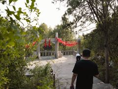 -云龙山