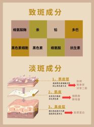 -SKIN79皮肤管理中心