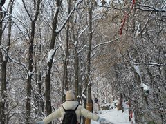 -少华山国家森林公园