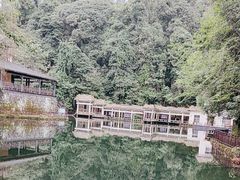 -云南屏边大围山国家公园