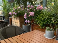 -G+KITCHEN(龙湖狮山天街店)