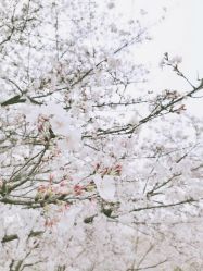 -玄武湖景区-情侣园游乐场