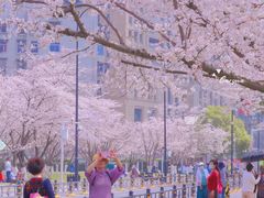 -西北湖绿化广场
