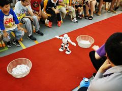 -斯坦星球AI编程·机器人科创·科学实验·信奥·思维·STEM·乐高·竞赛考级(长宁虹桥大融城荟聚中心)