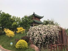 -武清南湖绿博园