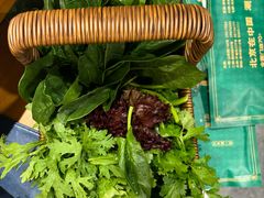 -曲氏老北京铜锅涮肉•火锅(不老街店)