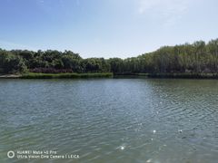 -大兴滨河森林公园