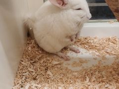 -龙猫仔乐园(惠福东路店)