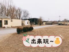 -北京群众马术培训基地