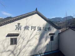 -九华山风景区