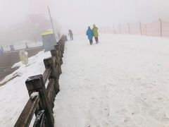 -西岭雪山大飞水景区