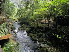 -神龙峡风景区