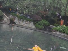 -融汇温泉