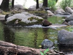 -碓臼峪自然风景区