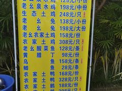 -老幺泉水鸡