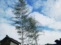 -黄陂区野村谷景区
