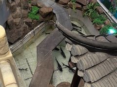 -春盛渔府(牛首山店)