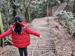 -凤栖山