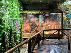 -上海大自然野生昆虫馆(东方明珠·爬宠昆虫探索中心)