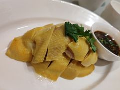白斩散养草鸡-红城阁·上海味道(四平路店)
