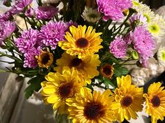 -三圣花乡旅游区