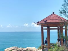 -广东惠东海龟国家级自然保护区