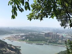 -铁山坪森林公园