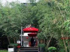 -三利音·浦之舟(滨江大道店)