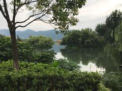 -怡得观滇餐厅·地道昆明菜·1996(海埂大坝店)