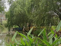 -长兴太湖图影湿地文化园