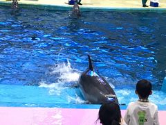 -福州罗源湾海洋世界旅游区