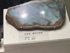 -天津自然博物馆