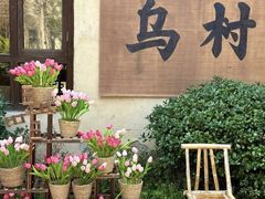 -乌村