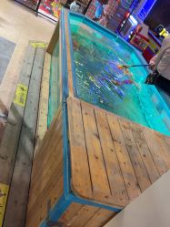 -卡通尼·Safari非洲探索乐园·生日会(金桥国际商业广场店)