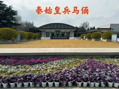 -秦始皇帝陵博物院(兵马俑)