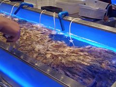 -SEA西雅图海鲜自助餐厅(正义店)