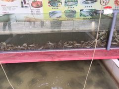 -乡乐园蟹庄·阳澄湖农家乐