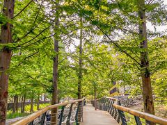 -白水寺森林公园